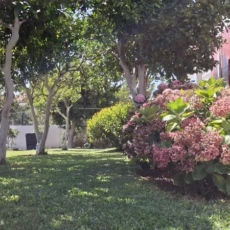 Ribeiro's House Guest house